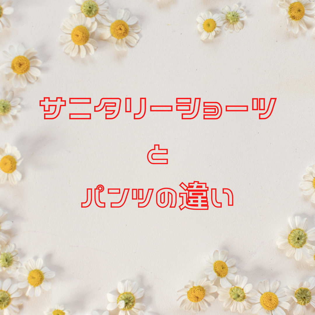 サニタリーショーツとパンツの違いは どこで買う 普段使いできる