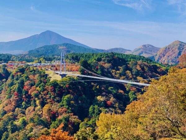 九重大吊り橋の紅葉風景