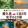 屋久島の女子旅を象徴する、白谷雲水峡の苔むす森、永田いなか浜の夕景、安房川でのカヌー、トビウオ料理の画像