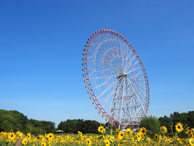 葛西臨海公園の大観覧車