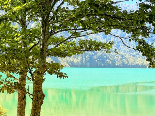 エメラルドグリーンに輝く白水湖