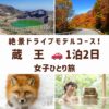 "宮城県蔵王の観光スポット。エメラルドグリーンの御釜、蔵王エコーライン、温泉で癒される女性、蔵王キツネ村のキツネの画像