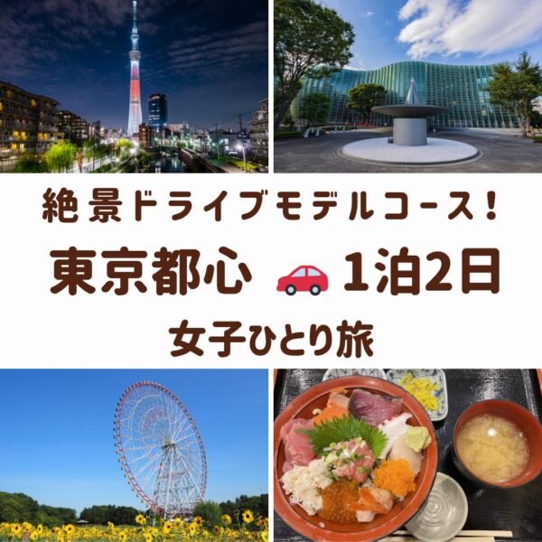 東京都心の観光スポット。東京スカイツリーの夜景、国立新美術館、葛西臨海公園の大観覧車、海鮮丼の画像