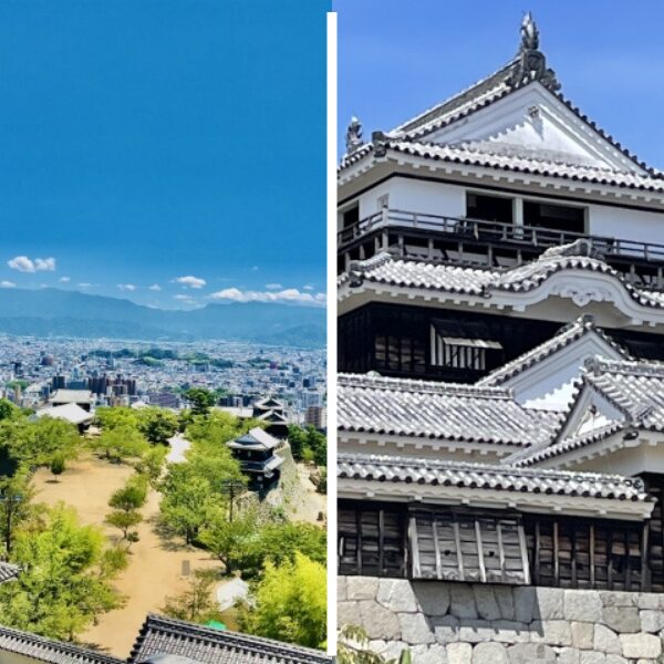 松山城と天守閣からの眺め