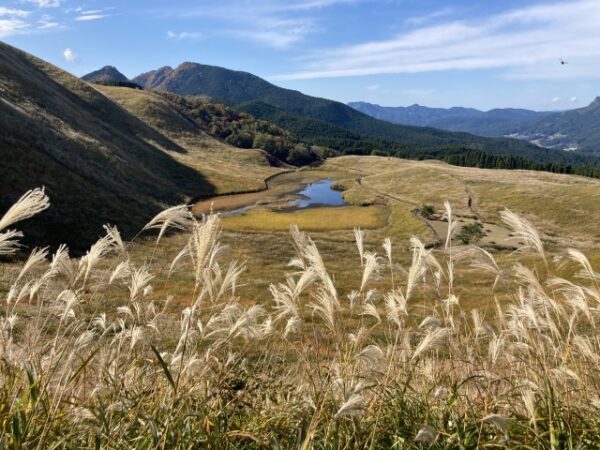 曽爾高原のススキの風景