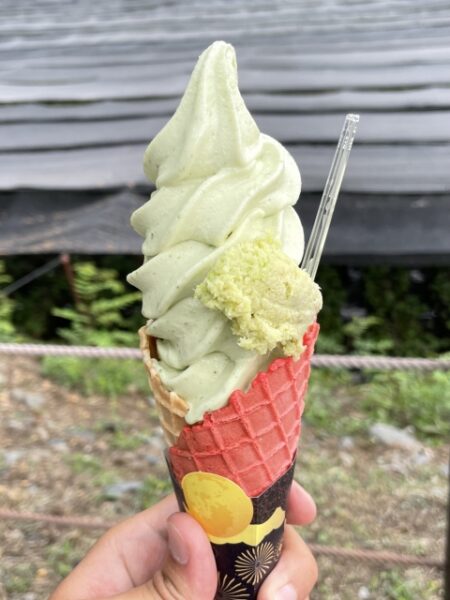 大王わさび農場のわさびソフトクリーム