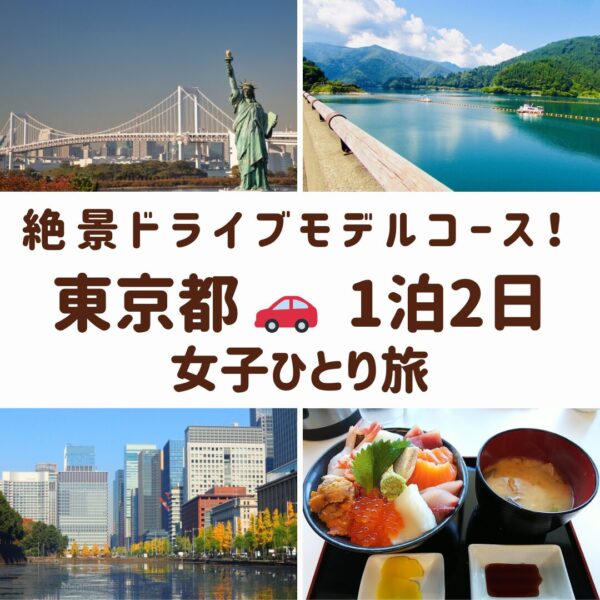 東京のスポット。レインボーブリッジと自由の女神像、奥多摩湖、丸の内ビル群、海鮮丼の画像