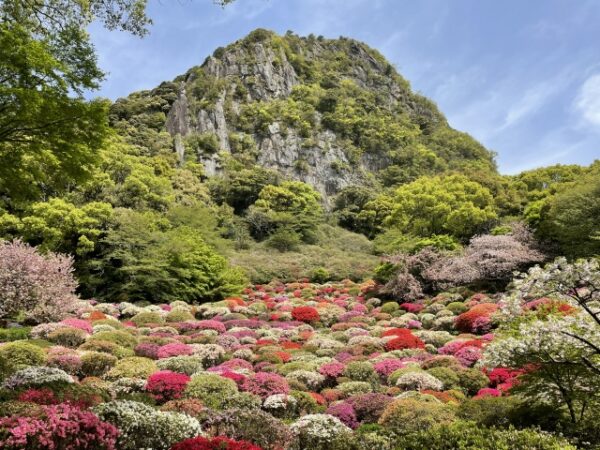 御船山楽園の春の絶景。つつじと御船山