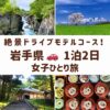 岩手県のスポット。厳美渓、小岩井農場の1本桜、金色堂、名物のわんこそばのセットの画像