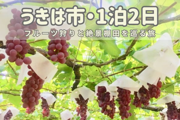 うきは1泊2日モデルコース：フルーツ狩りと絶景棚田