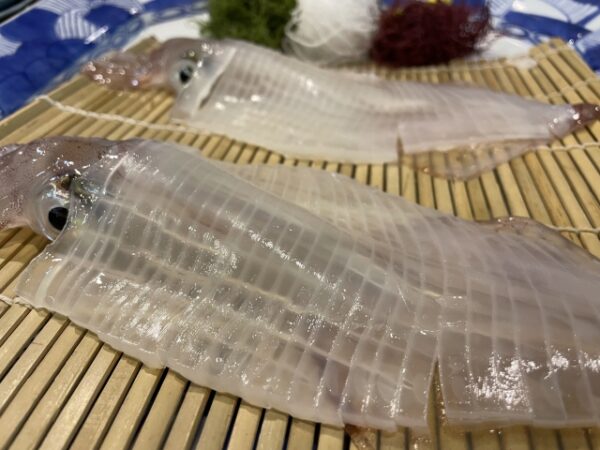 呼子の名物。イカの活き造り
