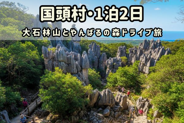 国頭村1泊2日モデルコース：大石林山とやんばるの森ドライブ旅