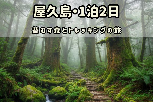 屋久島1泊2日モデルコース：苔むす森とトレッキングの旅