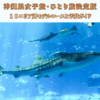 【沖縄観光】美ら海水族館＆古宇利島！1泊2日ひとり旅モデルコース 予算・地図