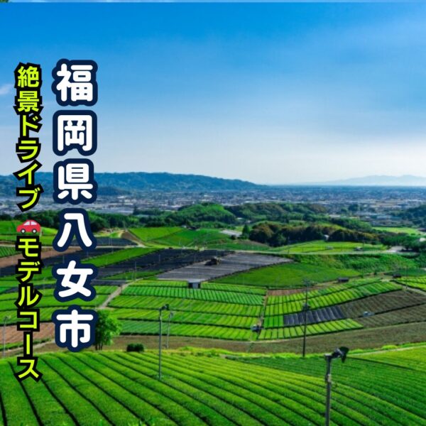 八女大茶園の茶畑風景のアイキャッチ画像