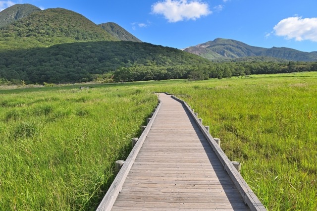 大分県九重町にあるタデ湿原の緑の山並みと湿原の風景