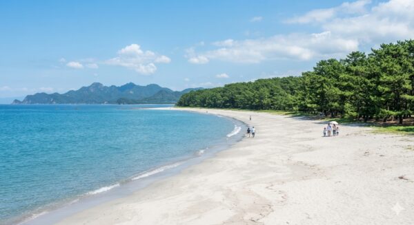 大分県佐伯市。弓状の白い砂浜と海、松林のコントラストが美しい波当津海岸